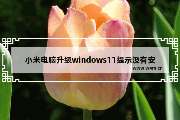 小米电脑升级windows11提示没有安全启动怎么办 小米电脑升级windows11提示没有安全启动解决方法