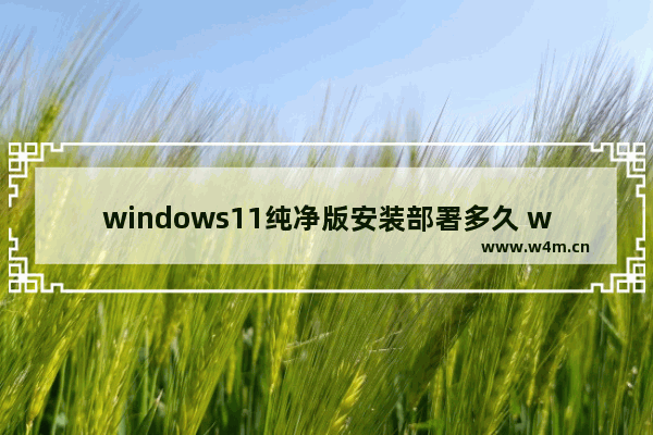 windows11纯净版安装部署多久 windows11纯净版安装部署多久问题解析