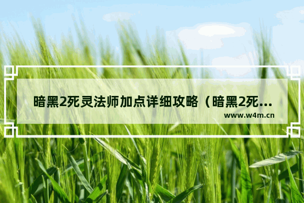 暗黑2死灵法师加点详细攻略（暗黑2死灵法师起步到超神如何搭配）