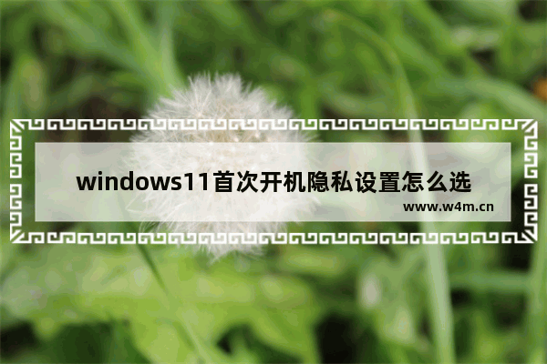 windows11首次开机隐私设置怎么选 windows11首次开机隐私设置方法