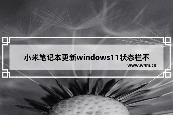 小米笔记本更新windows11状态栏不显示图标是怎么回事 小米笔记本更新windows11状态栏不显示图标问题解析