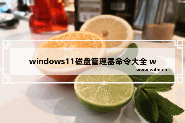 windows11磁盘管理器命令大全 windows11磁盘管理器命令分享