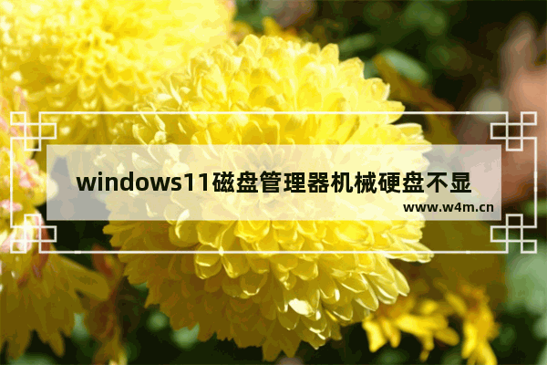 windows11磁盘管理器机械硬盘不显示怎么办 windows11磁盘管理器机械硬盘不显示解决方法