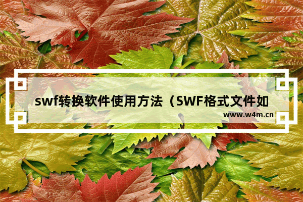 swf转换软件使用方法（SWF格式文件如何进行修改）