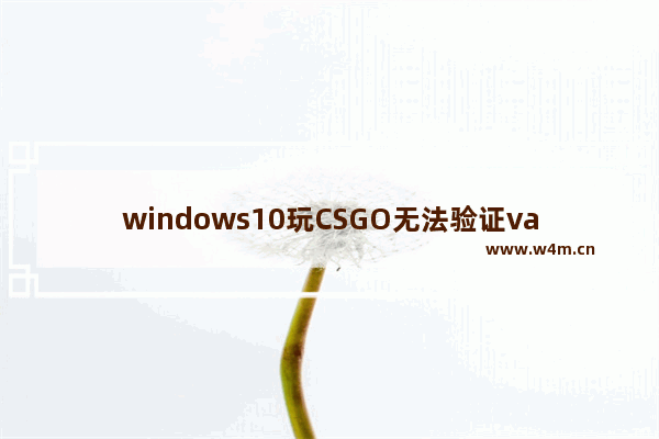 windows10玩CSGO无法验证vac会话怎么办 CSGO无法验证vac会话的解决方法