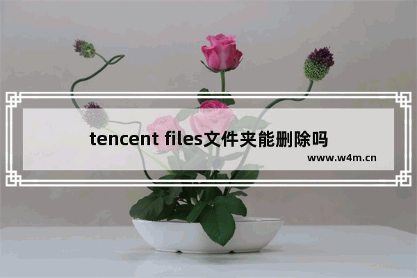 tencent files文件夹能删除吗 tencent files文件夹是否可以删除