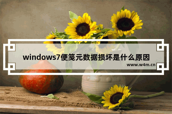 windows7便笺元数据损坏是什么原因 windows7便笺元数据损坏怎么办