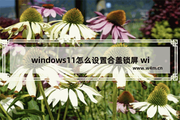 windows11怎么设置合盖锁屏 windows11设置合盖锁屏教程