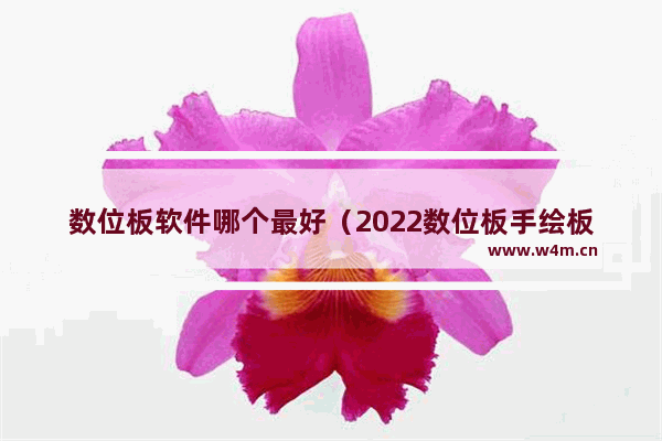 数位板软件哪个最好（2022数位板手绘板哪家强）