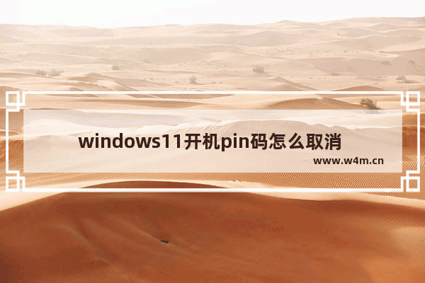 windows11开机pin码怎么取消 windows11开机pin码取消教程