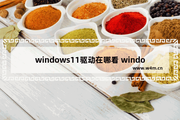 windows11驱动在哪看 windows11驱动查看教程