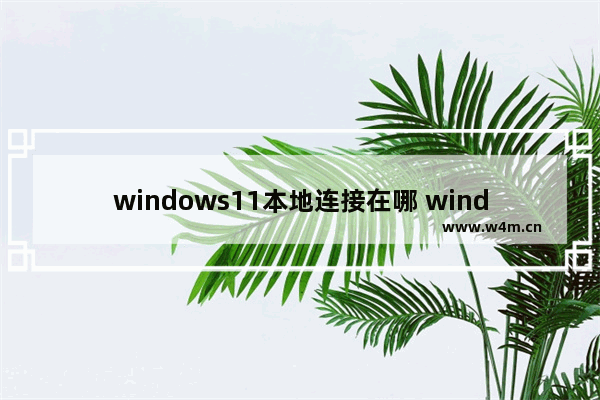 windows11本地连接在哪 windows11本地连接位置介绍