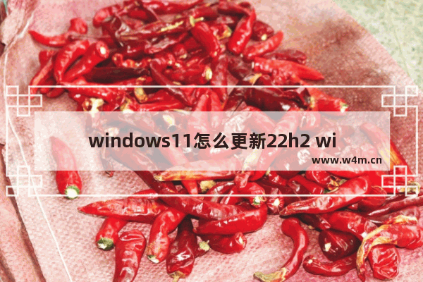 windows11怎么更新22h2 windows11更新22h2教程