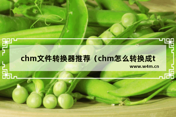 chm文件转换器推荐（chm怎么转换成txt文件）