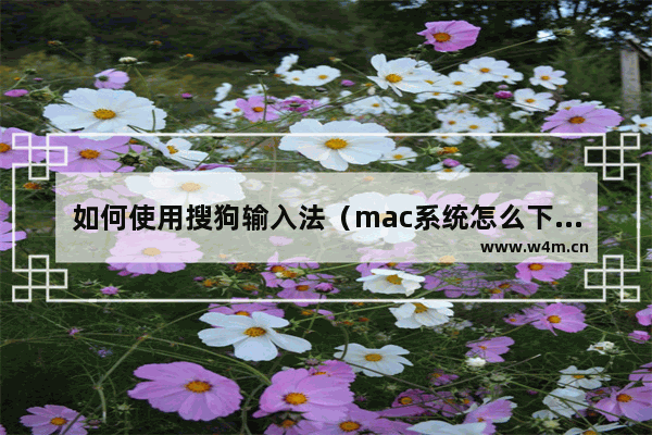 如何使用搜狗输入法（mac系统怎么下搜狗输入法）