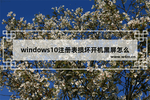 windows10注册表损坏开机黑屏怎么办 windows10注册表损坏开机黑屏解决方法