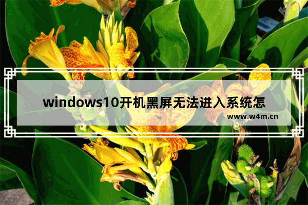 windows10开机黑屏无法进入系统怎么办 windows10开机黑屏无法进入系统解决方法