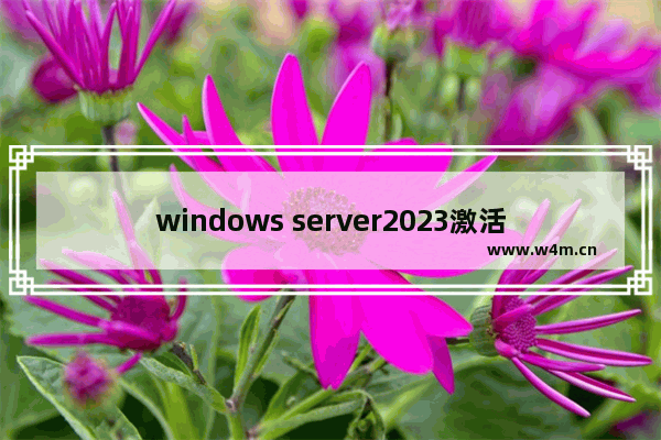 windows server2023激活最新 windows server2023激活大全