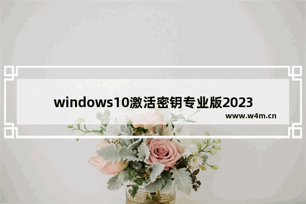 windows10激活密钥专业版2023 windows10激活密钥专业版永久2023