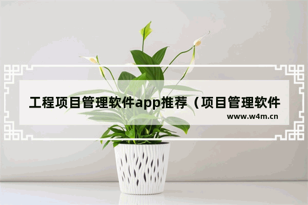 工程项目管理软件app推荐（项目管理软件哪个比较好用）