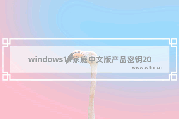 windows11家庭中文版产品密钥2023最新 windows11家庭中文版产品密钥最新分享