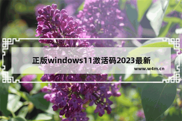 正版windows11激活码2023最新 正版windows11激活码领取2023