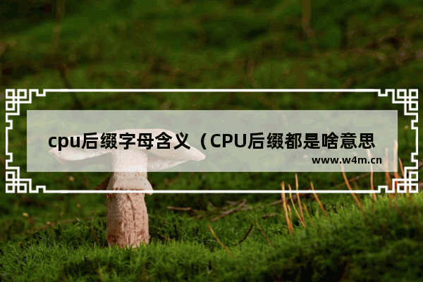 cpu后缀字母含义（CPU后缀都是啥意思）