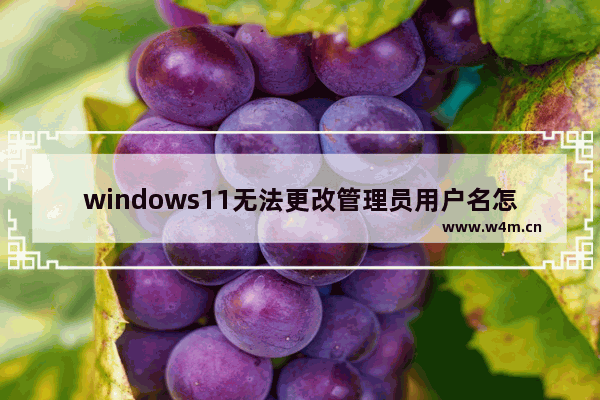 windows11无法更改管理员用户名怎么办 windows11无法更改管理员用户名问题解析