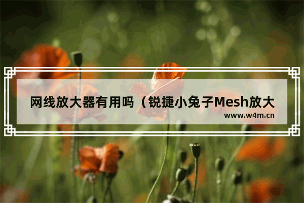 网线放大器有用吗（锐捷小兔子Mesh放大器体验评测）