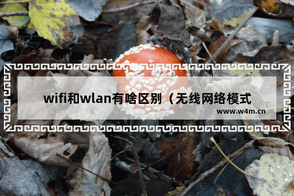 wifi和wlan有啥区别（无线网络模式哪个最好）