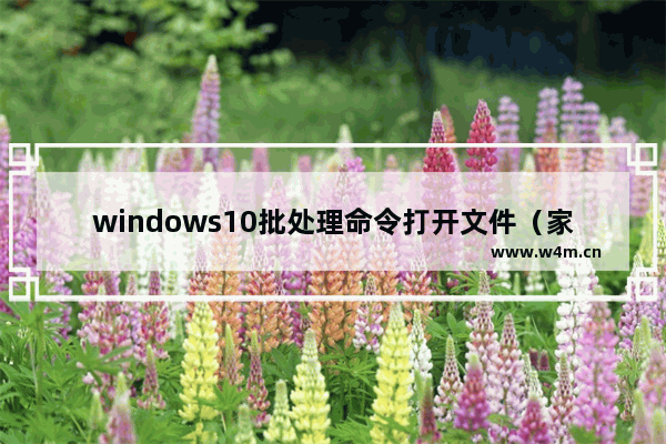 windows10批处理命令打开文件（家庭版windows10怎么打开组策略）