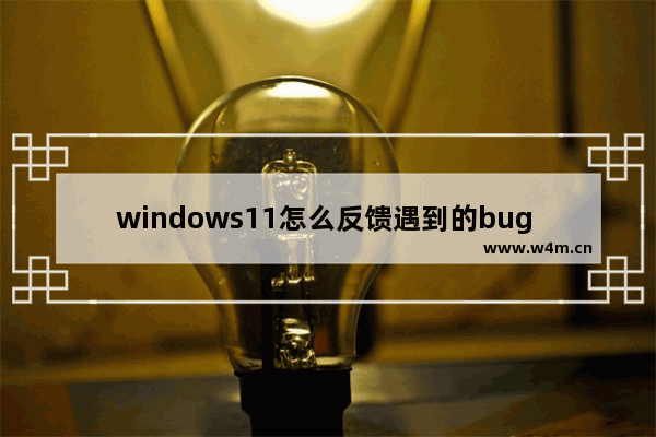 windows11怎么反馈遇到的bug windows11如何反馈遇到的bug