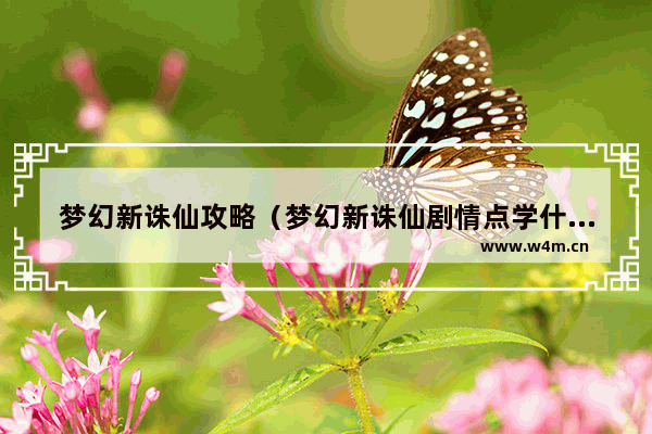 梦幻新诛仙攻略（梦幻新诛仙剧情点学什么比较好）