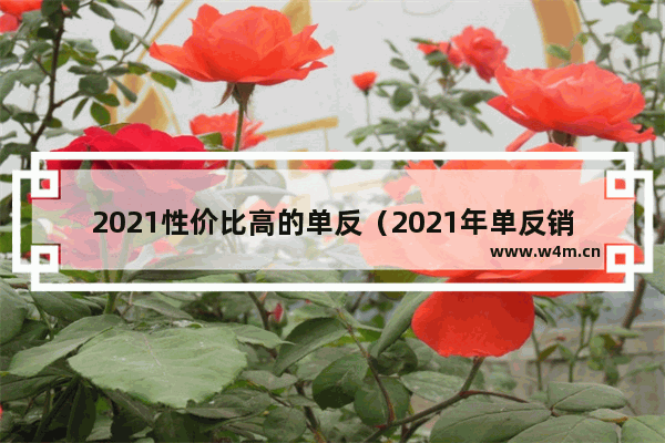 2021性价比高的单反（2021年单反销量前十榜单出炉）