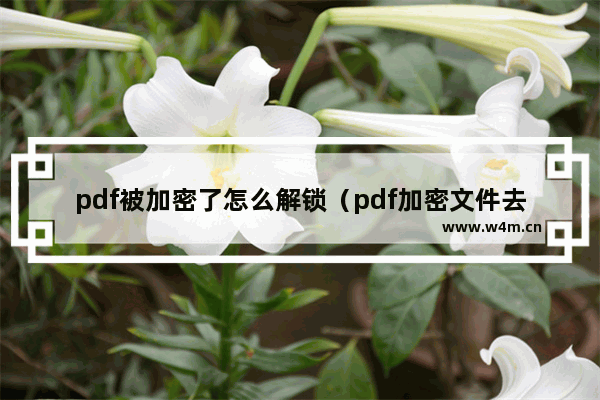 pdf被加密了怎么解锁（pdf加密文件去掉密码的方法）