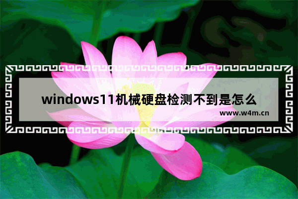 windows11机械硬盘检测不到是怎么回事 windows11机械硬盘检测不到解决方法