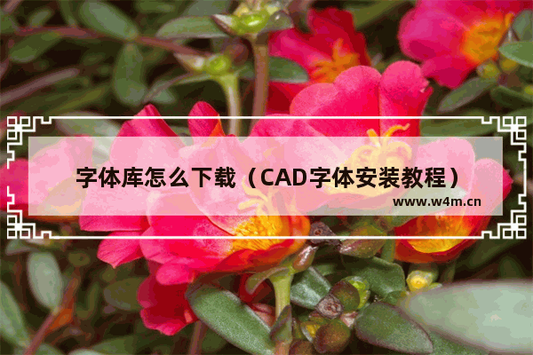 字体库怎么下载（CAD字体安装教程）