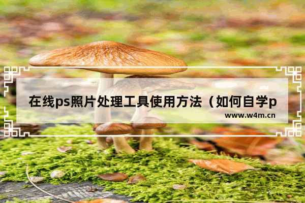 在线ps照片处理工具使用方法（如何自学ps图片处理）