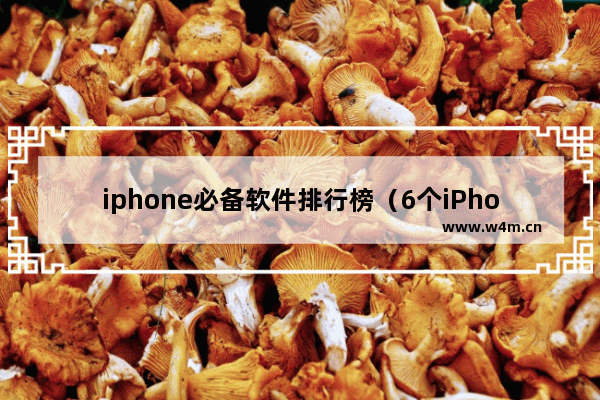 iphone必备软件排行榜（6个iPhone手机必备APP）