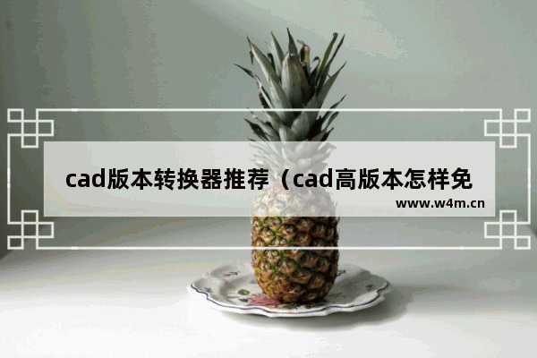 cad版本转换器推荐（cad高版本怎样免费转换低版本）