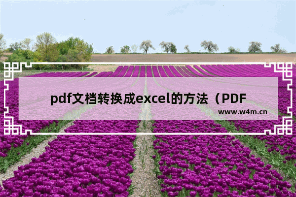 pdf文档转换成excel的方法（PDF文件如何转Excel）