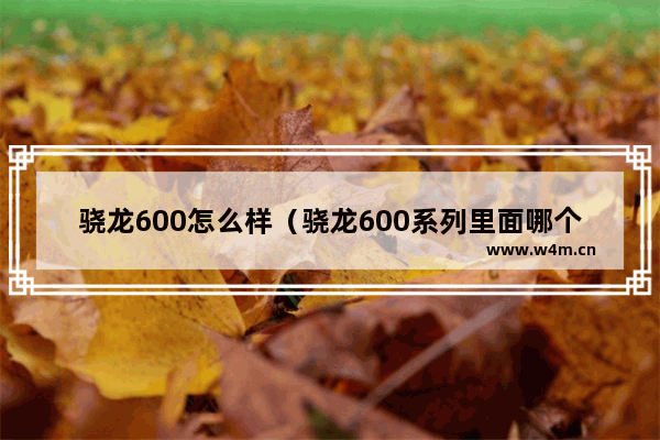 骁龙600怎么样（骁龙600系列里面哪个处理器最好）