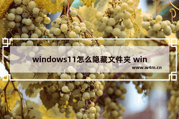 windows11怎么隐藏文件夹 windows11通过命令隐藏文件夹的方法