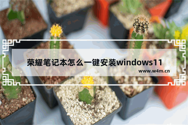 荣耀笔记本怎么一键安装windows11系统 荣耀笔记本一键安装windows11系统操作步骤教学分享