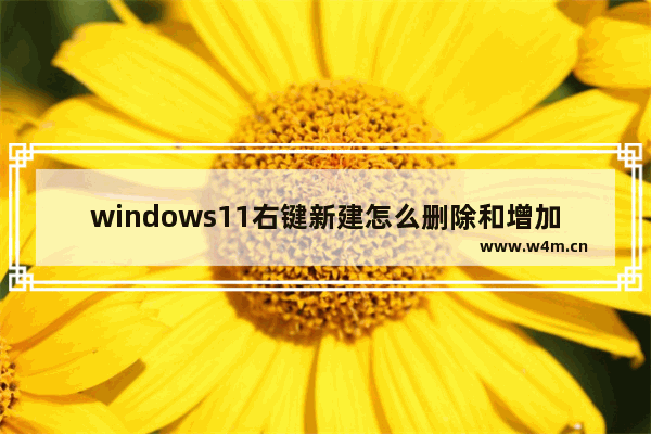 windows11右键新建怎么删除和增加 windows11右键新建删除和增加教程