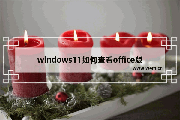 windows11如何查看office版本 windows11查看office版本的方法