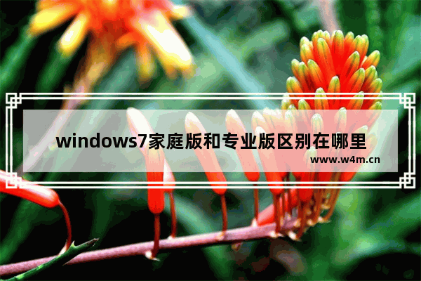 windows7家庭版和专业版区别在哪里 windows7家庭版和专业版区别解析