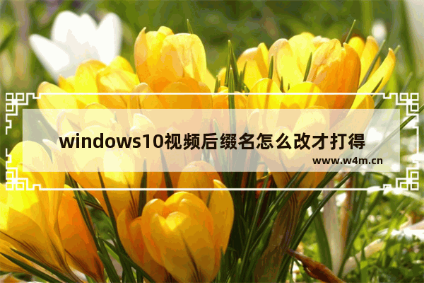 windows10视频后缀名怎么改才打得开 windows10视频后缀名怎么改才打得开方法