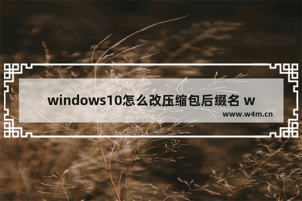 windows10怎么改压缩包后缀名 windows10修改压缩包后缀名方法