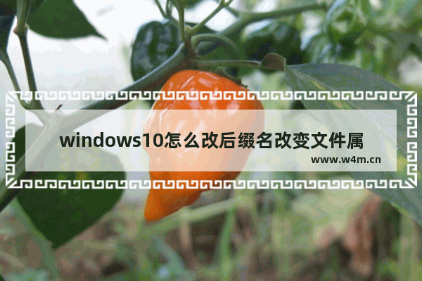 windows10怎么改后缀名改变文件属性 windows10修改后缀名改变文件属性教程